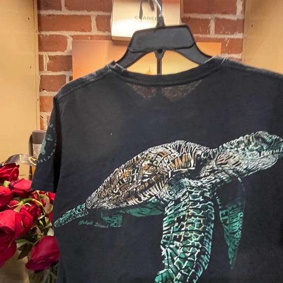 Turtle - Picture 6 of 6